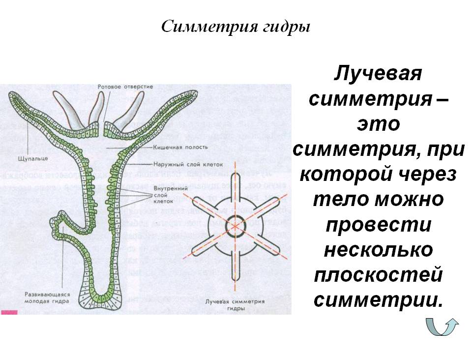 Kra34.cc