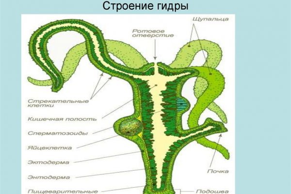 Кракен даркнет вход